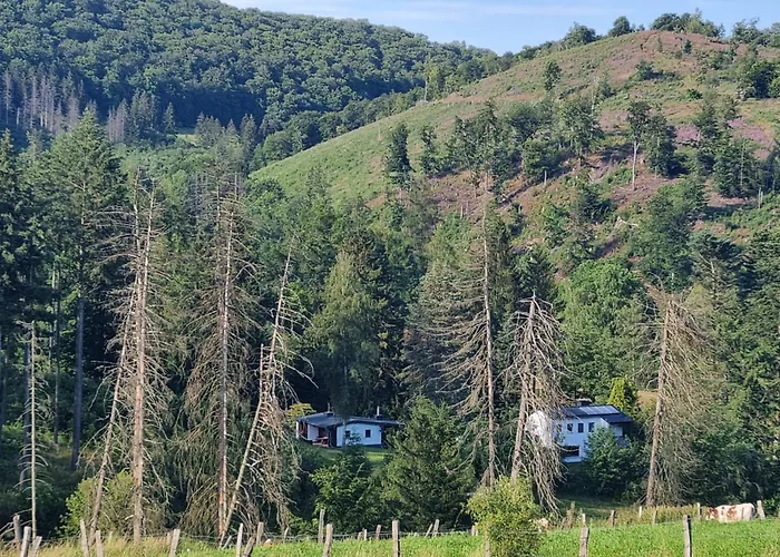 Explorer\'S Lodge & Camping